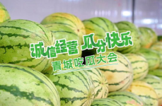 快乐吃瓜军网红康欣,快乐吃瓜军领军人物，揭秘娱乐圈幕后故事