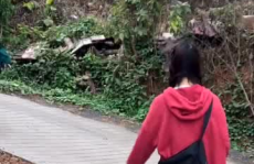 鹅抓小姐姐,一场意外的邂逅与欢乐时光