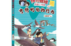 小姐姐科普投保,小姐姐带你轻松入门