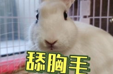 吃瓜爆料抖音男网红叫啥,他是谁？