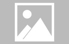 中央网信办整治平台同城版块中央网信办开展专项行动：聚焦网络“黑嘴”伤企乱象 重点整治四类突出问题
