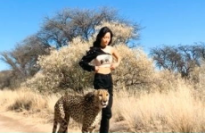 猎豹挑战小姐姐,一场速度与勇气的极限对决
