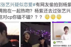 吃瓜被网暴小说后续,网暴背后的真相与反思