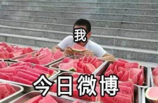 天下第一网友吃瓜