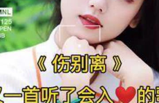 心歌写真,捕捉音符中的情感瞬间