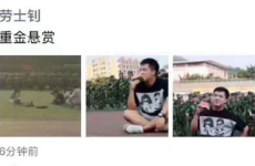 网课吃瓜搞笑图片带字幕,吃瓜图带字幕，笑料横飞！